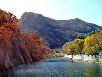 饶宗颐书画，龙鳞宝刀